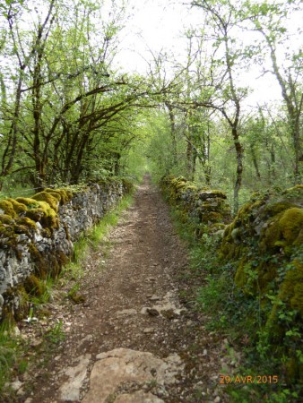 J14 En Causse de Limogne