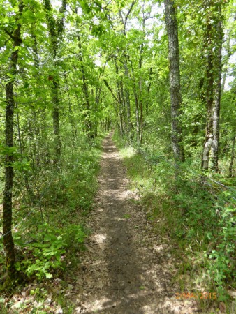 2 Mai , sentier dans le Quercy blanc.