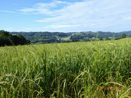 Au fond l'autoroute de Santiago des pélerins modernes!